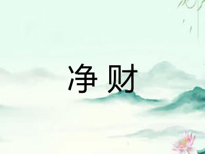 净财 净财