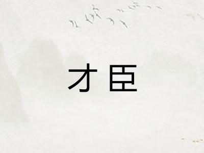 才臣 才臣
