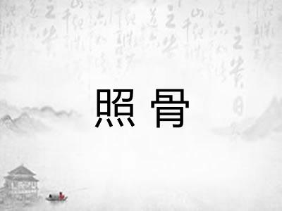 照骨 照骨