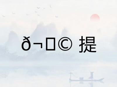?提 ?提