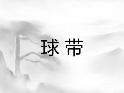 球带 球带