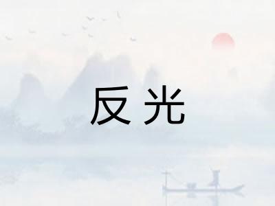 反光