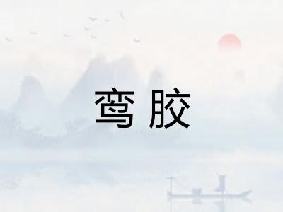 鸾胶 鸾胶