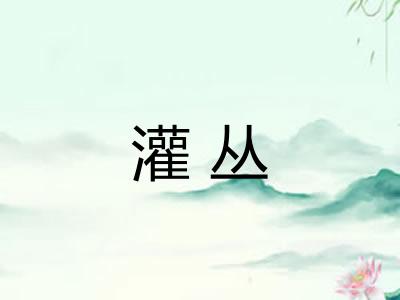 灌丛 灌丛