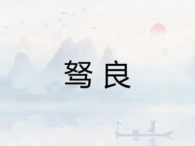 驽良 驽良