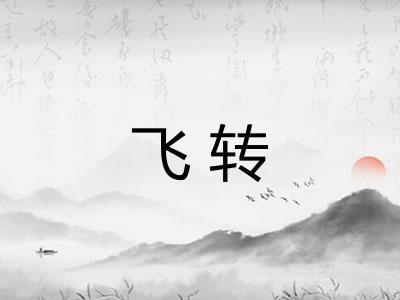 飞转 飞转