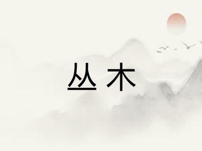 丛木 丛木