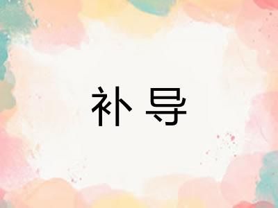 补导 补导