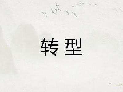 转型