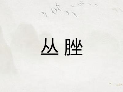 丛脞
