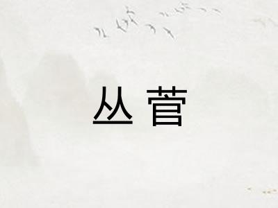 丛菅 丛菅