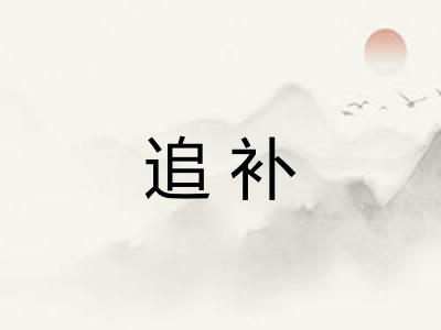 追补 追补
