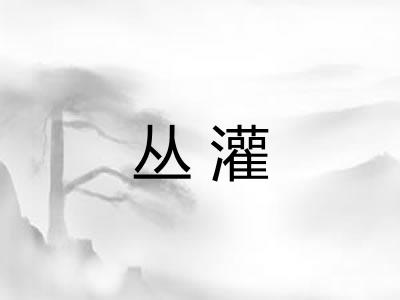 丛灌 丛灌