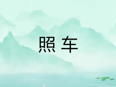照车