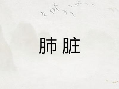 肺脏 肺脏
