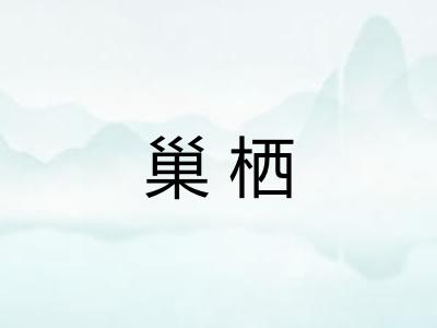 巢栖