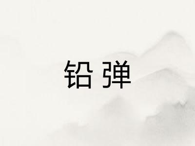 铅弹 铅弹