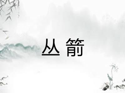 丛箭 丛箭