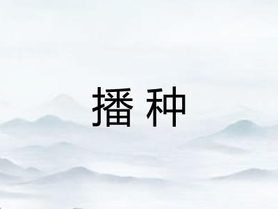播种 播种