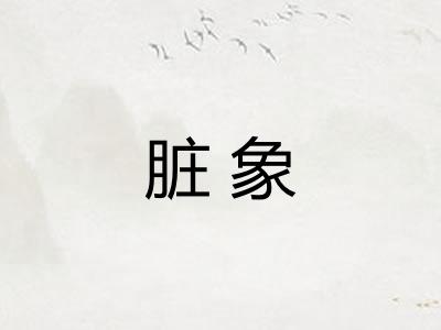脏象 脏象