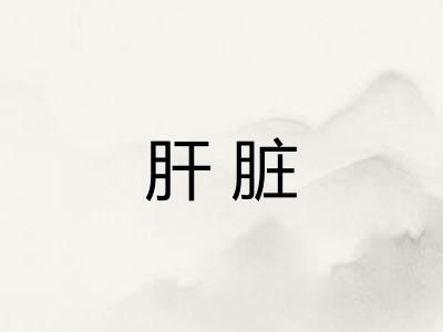 肝脏 肝脏