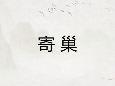 寄巢 寄巢