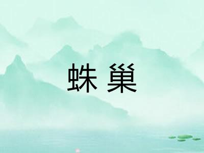 蛛巢 蛛巢