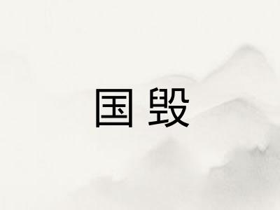 国毁 国毁