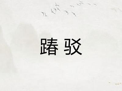 踳驳