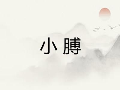 小膊 小膊
