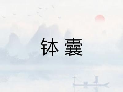 钵囊 钵囊