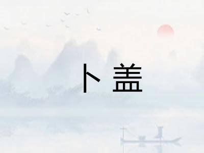 卜盖 卜盖