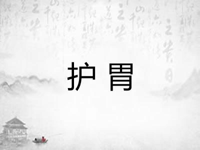 护胃 护胃