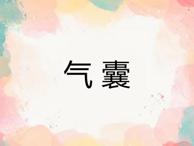 气囊 气囊