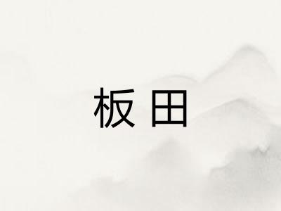 板田 板田