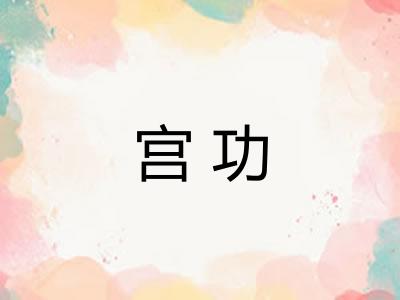 宫功 宫功