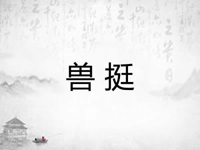 兽挺 兽挺