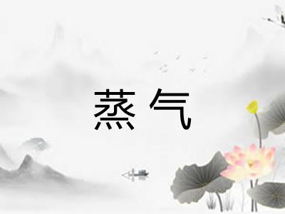 蒸气 蒸气