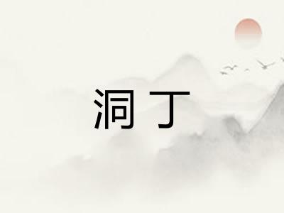 洞丁