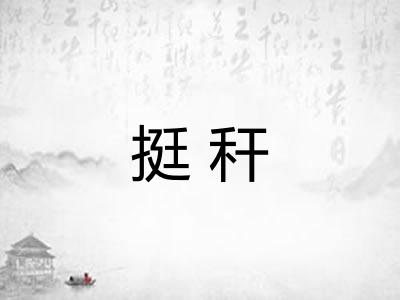 挺秆 挺秆