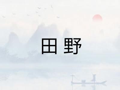 田野
