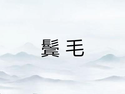 鬓毛 鬓毛