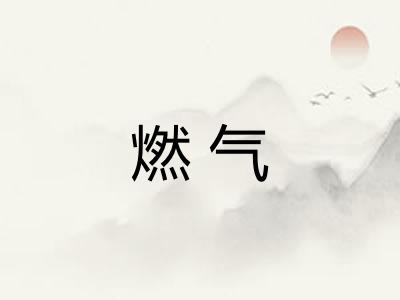 燃气 燃气