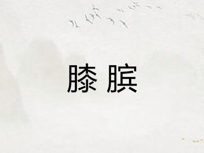 膝膑 膝膑