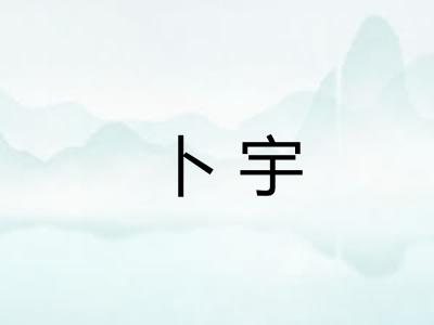 卜宇 卜宇