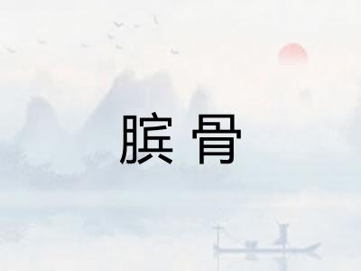 膑骨 膑骨