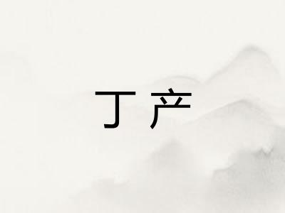 丁产 丁产