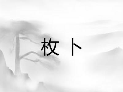 枚卜 枚卜