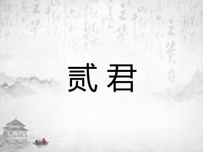 贰君 贰君
