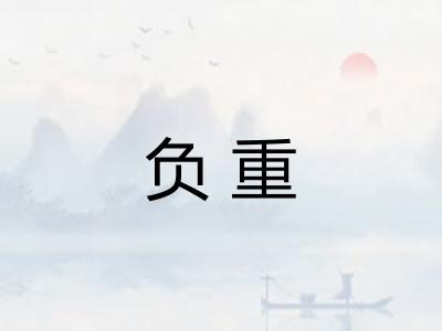 负重 负重